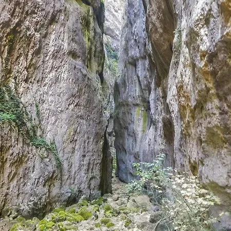 Σπίτι διακοπών Natura & Relax *